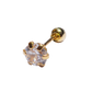 Zirconias colores